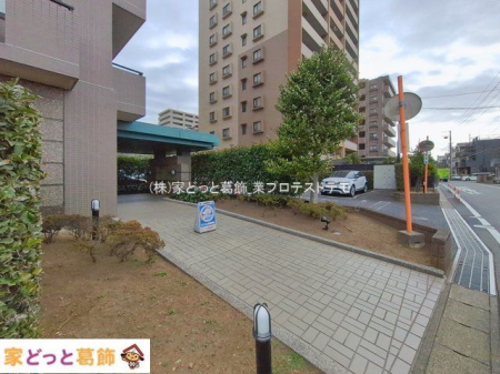 �G���g�����X �B�e��(2026-01-20 00:00:00)