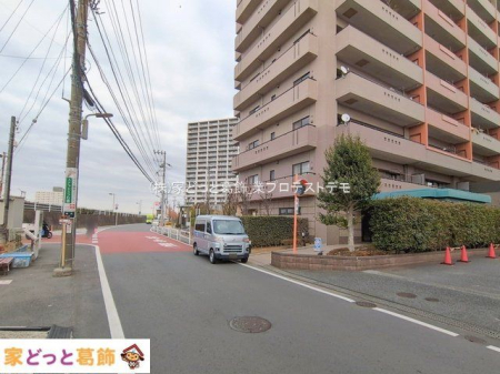 ���n�O�ώʐ^ �B�e��(2026-01-20 00:00:00)