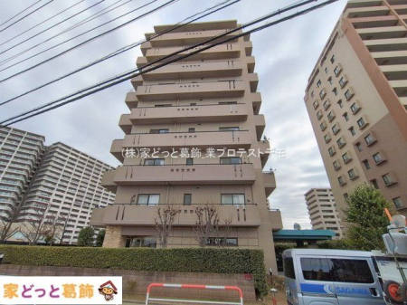 ���n�O�ώʐ^ �B�e��(2026-01-20 00:00:00)