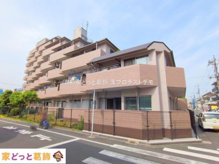 ���n�O�ώʐ^ �B�e��(2025-05-21 00:00:00)