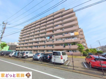 ���n�O�ώʐ^ �B�e��(2025-05-21 00:00:00)