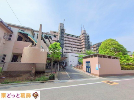 ���n�O�ώʐ^ �B�e��(2025-05-21)