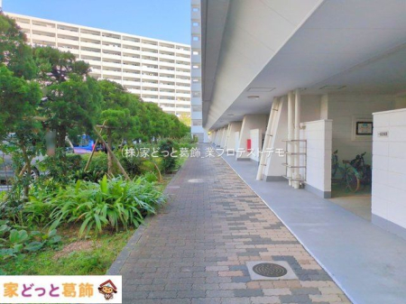 ���n�O�ώʐ^ �B�e��(2025-09-25 00:00:00)