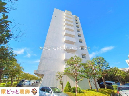 ���n�O�ώʐ^ �B�e��(2025-09-25 00:00:00)