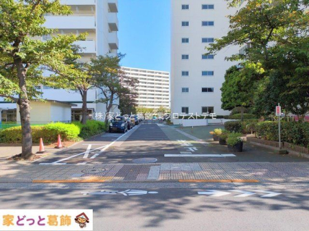 ���n�O�ώʐ^ �B�e��(2025-09-25 00:00:00)