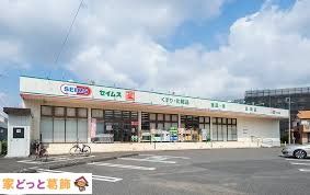 ���ӊ� �h���b�O�Z�C���X����X �k��12���B 910m