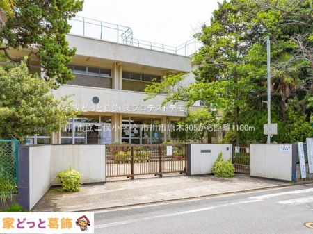 ���ӊ� �s��s���񖓏��w�Z �B�e��(2022-06-01) 1100m