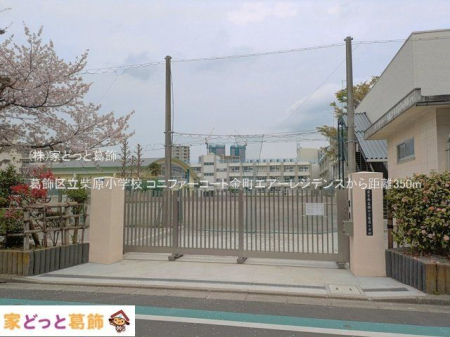 ���ӊ� �����旧�Č����w�Z �B�e��(2025-04-10) 350m