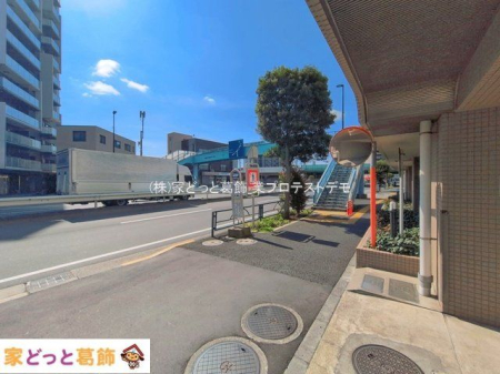 ���n�O�ώʐ^ �B�e��(2026-04-06 00:00:00)