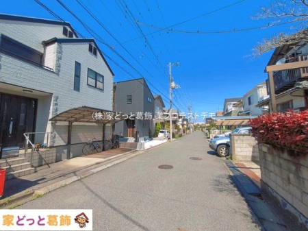 ���n�O�ώʐ^ �B�e��(2026-04-03)