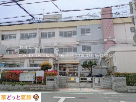 ���ӊ� �]�ː�旧�������{���w�Z �B�e��(2025-04-10) 800m