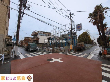 ���n�O�ώʐ^ �B�e��(2026-03-03)