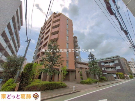 ���n�O�ώʐ^ �B�e��(2026-04-09 00:00:00)