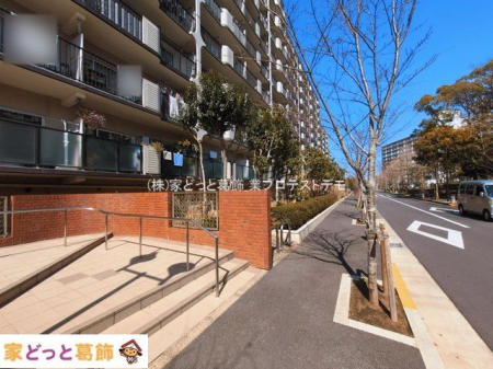 ���n�O�ώʐ^ �B�e��(2026-03-09 00:00:00)