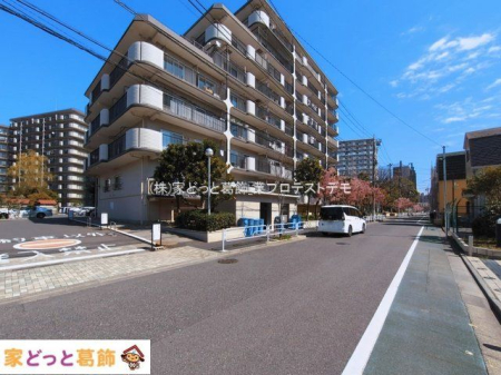 ���n�O�ώʐ^ �B�e��(2026-03-09 00:00:00)