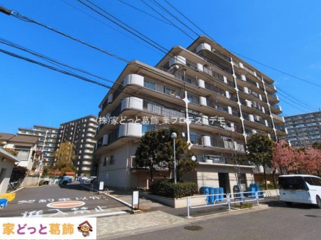 ���n�O�ώʐ^ �B�e��(2026-03-09)