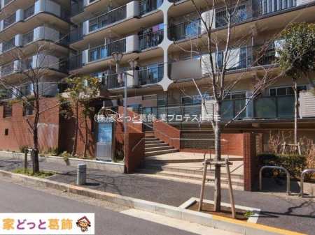 �G���g�����X �B�e��(2026-03-09)