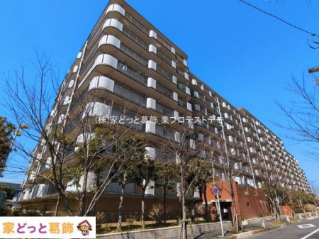 ���n�O�ώʐ^ �B�e��(2026-03-09 00:00:00)