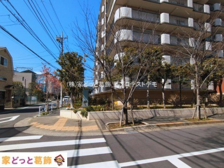 ���n�O�ώʐ^ �B�e��(2026-03-09 00:00:00)