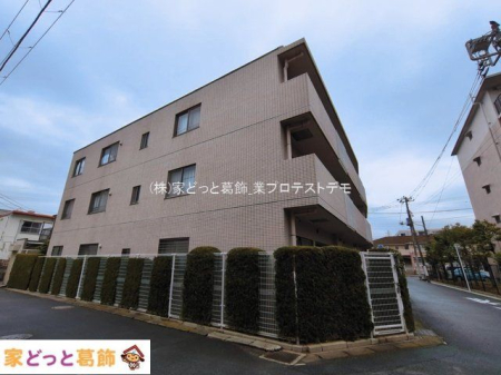 ���n�O�ώʐ^ �B�e��(2026-03-19 00:00:00)