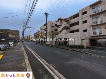 ���n�O�ώʐ^ �B�e��(2026-03-19 00:00:00)