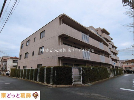 ���n�O�ώʐ^ �B�e��(2026-03-19)