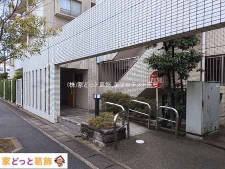 �G���g�����X �B�e��(2026-03-19)