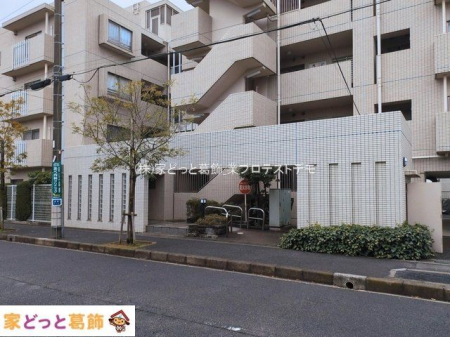 �G���g�����X �B�e��(2026-03-19 00:00:00)