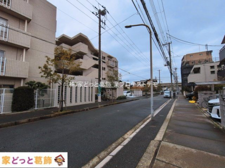 ���n�O�ώʐ^ �B�e��(2026-03-19 00:00:00)