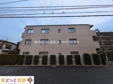 ���n�O�ώʐ^ �B�e��(2026-03-19 00:00:00)