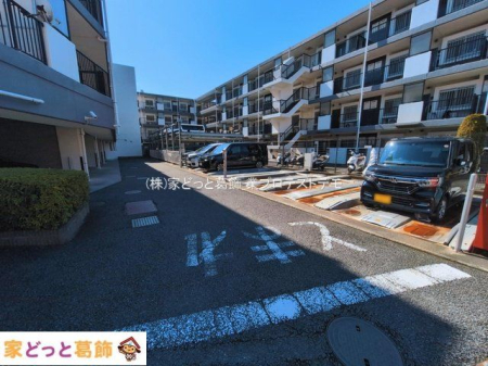 ���n�O�ώʐ^ �B�e��(2026-03-11 00:00:00)