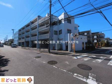 ���n�O�ώʐ^ �B�e��(2026-03-11 00:00:00)