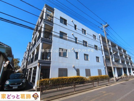 ���n�O�ώʐ^ �B�e��(2026-03-11 00:00:00)