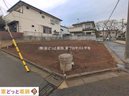 ���n�y�n�ʐ^ �B�e��(2026-03-23 00:00:00)