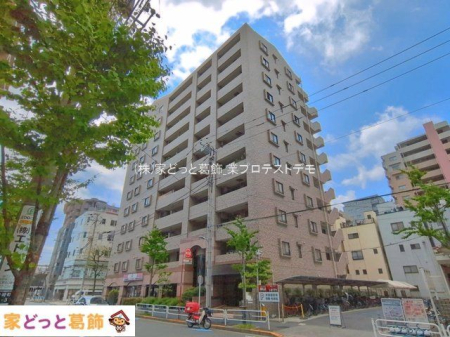 ���n�O�ώʐ^ �B�e��(2026-04-16 00:00:00)