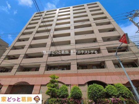 ���n�O�ώʐ^ �B�e��(2026-04-16 00:00:00)