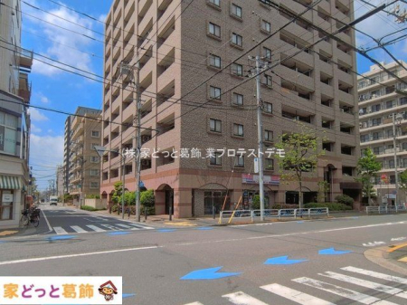 ���n�O�ώʐ^ �B�e��(2026-04-16 00:00:00)