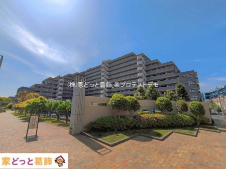 ���n�O�ώʐ^ �B�e��(2026-04-17 00:00:00)