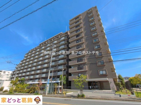 ���n�O�ώʐ^ �B�e��(2026-04-17 00:00:00)