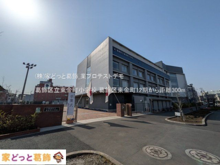 ���ӊ� �����旧���������w�Z �B�e��(2025-03-25) 300m