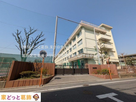 ���ӊ� �����旧�������w�Z �B�e��(2025-03-25) 1100m