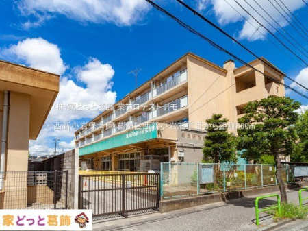 ���ӊ� ���V����ۈ牀 �B�e��(2021-08-03) 660m