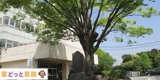 ���ӊ� �O���s�����B�����w�Z �k��5���B 350m