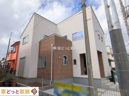 ���n�O�ώʐ^ �B�e��(2026-02-17 00:00:00)