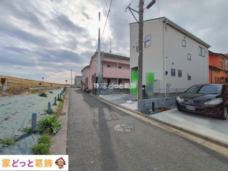 ���n�O�ώʐ^ �B�e��(2026-02-17 00:00:00)
