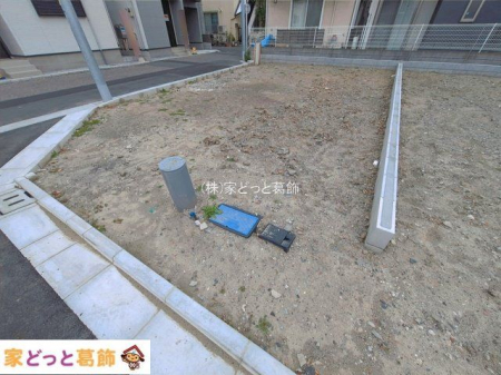 ���n�y�n�ʐ^ �B�e��(2026-03-25 00:00:00)