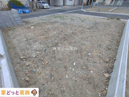 ���n�y�n�ʐ^ �B�e��(2026-03-25 00:00:00)
