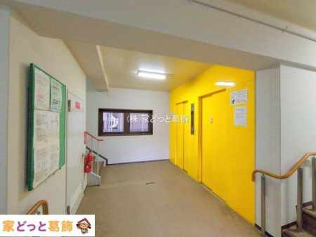���n�O�ώʐ^ �B�e��(2024-11-14 00:00:00)