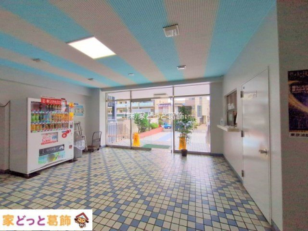 ���n�O�ώʐ^ �B�e��(2024-11-14 00:00:00)
