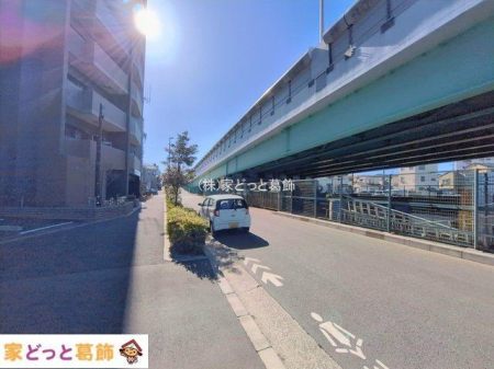 ���n�O�ώʐ^ �B�e��(2026-02-19 00:00:00)